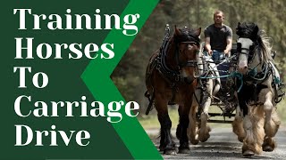 Training horses to carriage drive! (our method!)