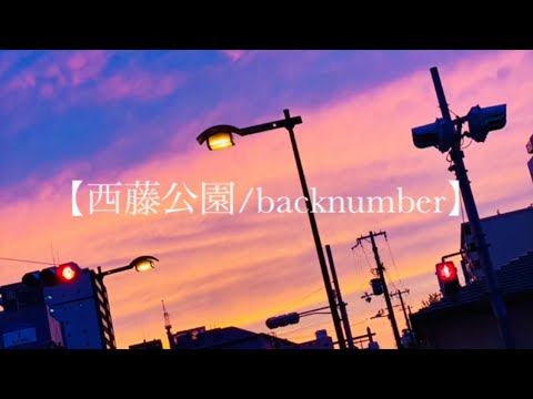 【西藤公園/backnumber】弾き語りfull cover