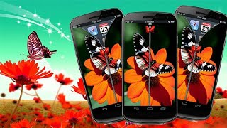 Butterfly On Android Screen | Make Butterfly Live Wallpaper For Any Android Device ☆ screenshot 1