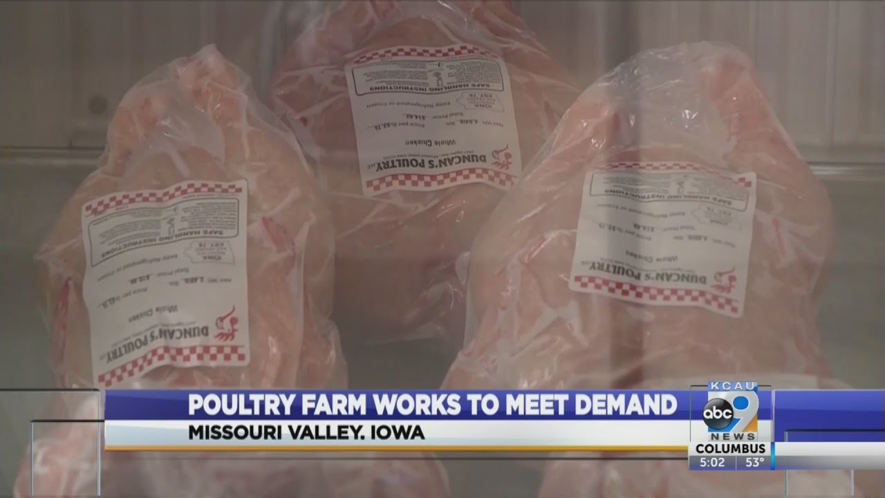 Iowa poultry farmer steps up to meet need for processing YouTube