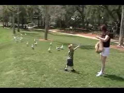 David Feeding the Birds with Nana & Grampa