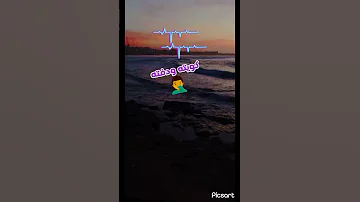 Cheb Rami مات القلب لي كان يبغيك 