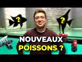 On prpare la mise en eau du 14000l  nouveau poissons