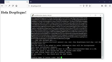 Generar certificado TLS/SSL e instalarlo en Apache / Ubuntu