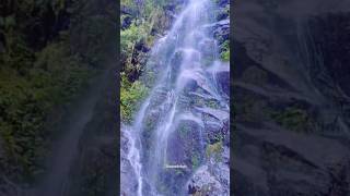 Blue Please Subscribe And Like