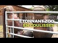 Zoo de pal  dans les coulisses du zoo le plus tonnant de france