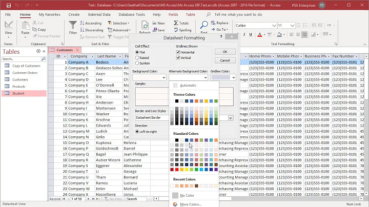 How to Change Datasheet Formatting in MS Access - Office 365