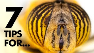 Advanced Insect Macro Photography