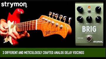 Strymon Brig DBucket Delay