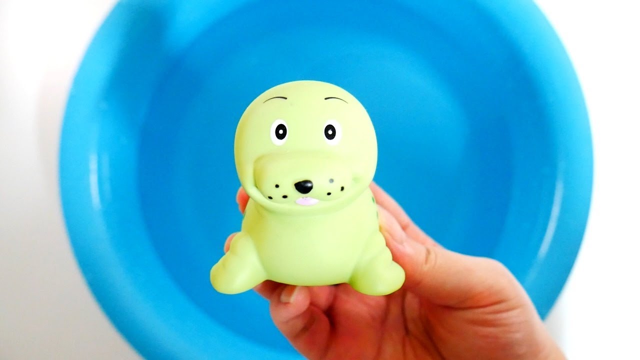 Learn Sea Animals Names Learn Sea Animals Names
