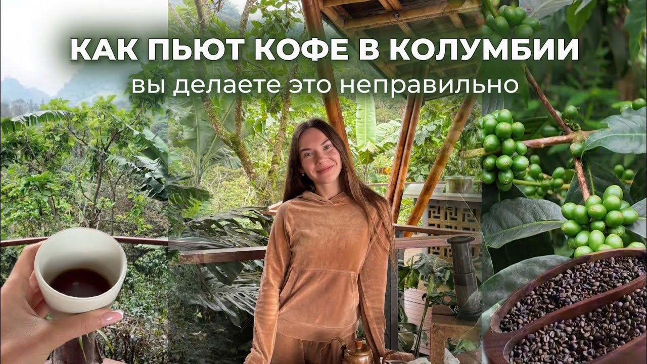 Кофейная культура в Колумбии: духовные ритуалы | секреты заварки и весь путь от дерева до чашки ☕️🇨🇴