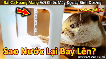 Rái Cá Hú Hồn không hiểu khi bắt gặp Chiếc Máy Độc Lạ Bình Dương || Review Giải Trí Đời Sống