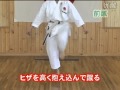 10. Mae Geri JKA.mp4