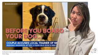 Dogs Are Dying at Board & Trains?! What Dog Owners Need to Know