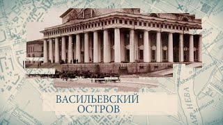 Малые родины большого Петербурга. Васильевский остров