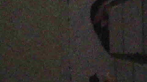 Up in arms_divide_the_smallest_unit_.flv