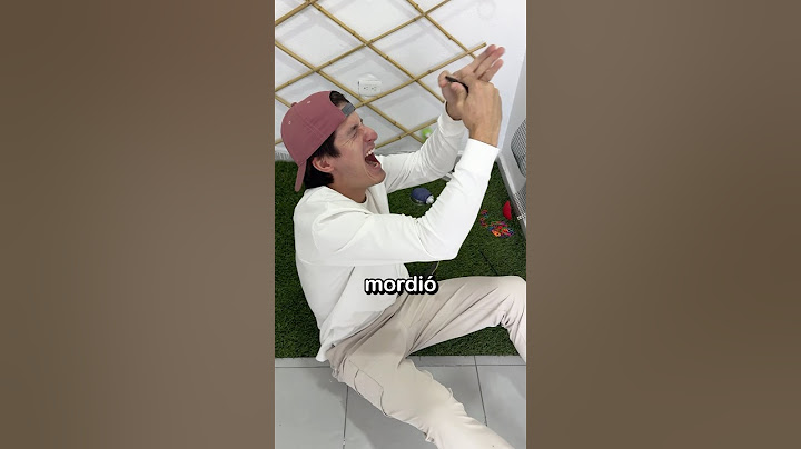 Me Mordió Una Víbora 😱🐍
