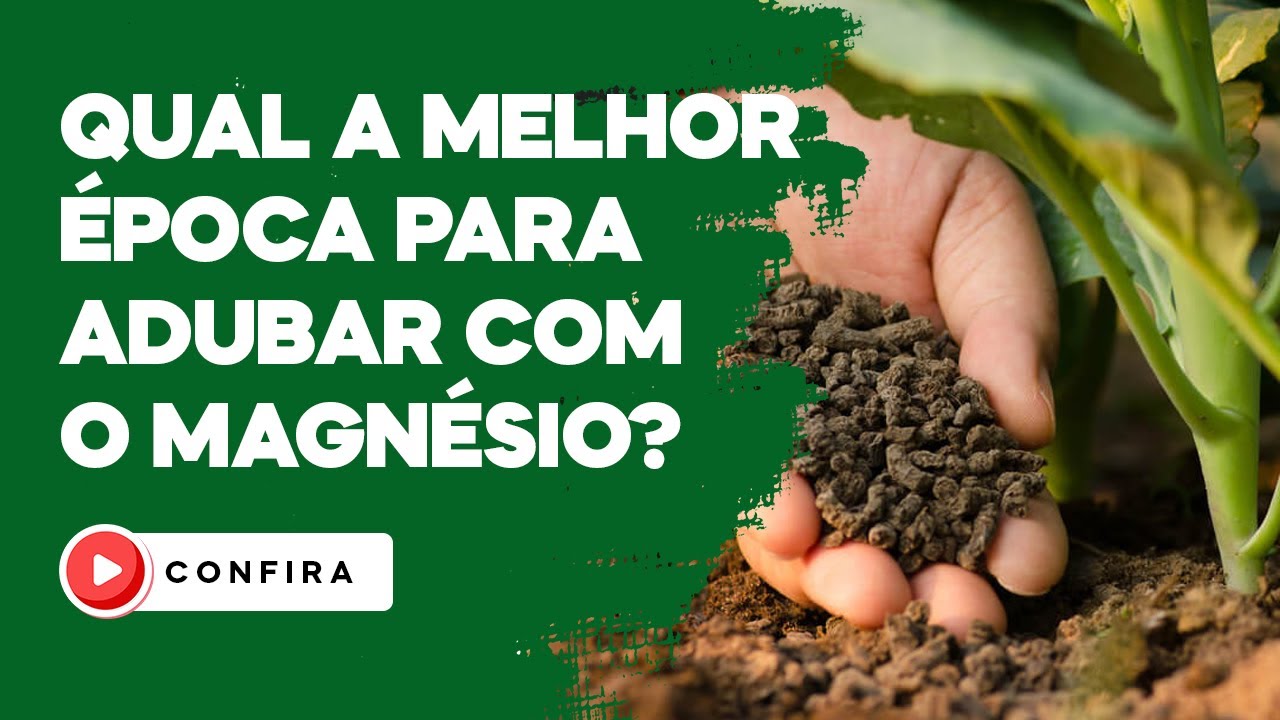 Qual A Melhor Hora Para Tomar Magnesio