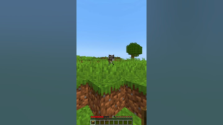 vcs controlam a minha voz
