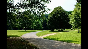 David Gordon - String Quartet No. 1 in C Major: IV. Allegro