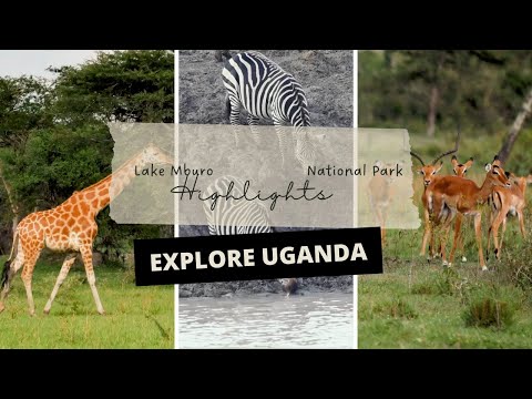 Lake Mburo National Park | Uganda