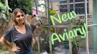 What Happened To The Rescued Hornbill!? Update!!!