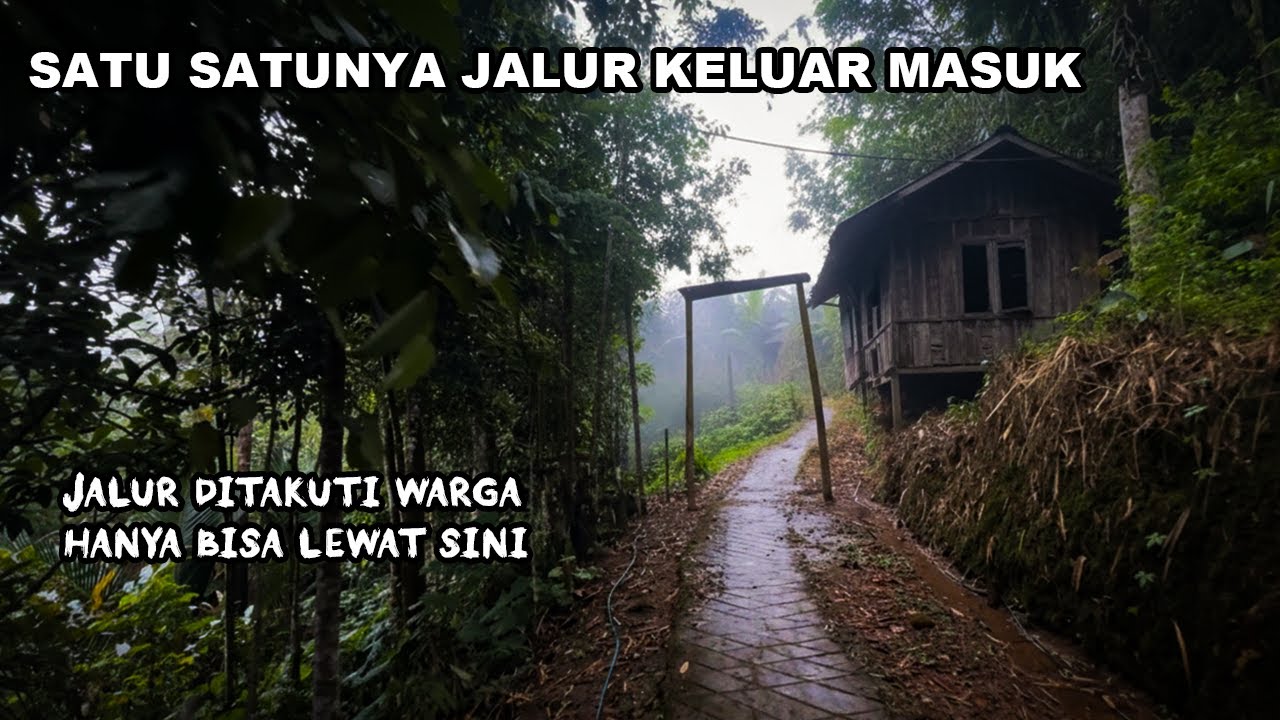 INILAH KAMPUNG TERSEMBUNYI DI DALAM HUTAN KAMPUNG NYOMPLONG