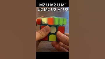 How to do a Z perm #shorts #zperm