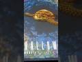 Unboxing of Nesting Expansion from Shallow Sea #boardgames #unboxing #badcomet #expansion #nesting