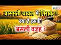बासमती चावल में क्यों गिरावट? | Basmati Rice Bhav Today | Market Update |