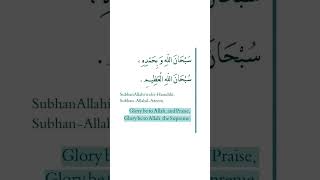 Subhan Allahi wa bihamdihi - #muftimenk #subhanallah #subhanallahwabhamidhi #peace