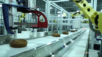 Robotic Cake Cutting & Tray Packing System - Smart Motion Robotics
