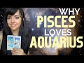 Pisces and aquarius  love compatibility  synastry