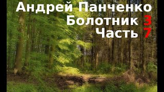 03.07. Андрей Панченко - Болотник. Книга 3. Часть 07.