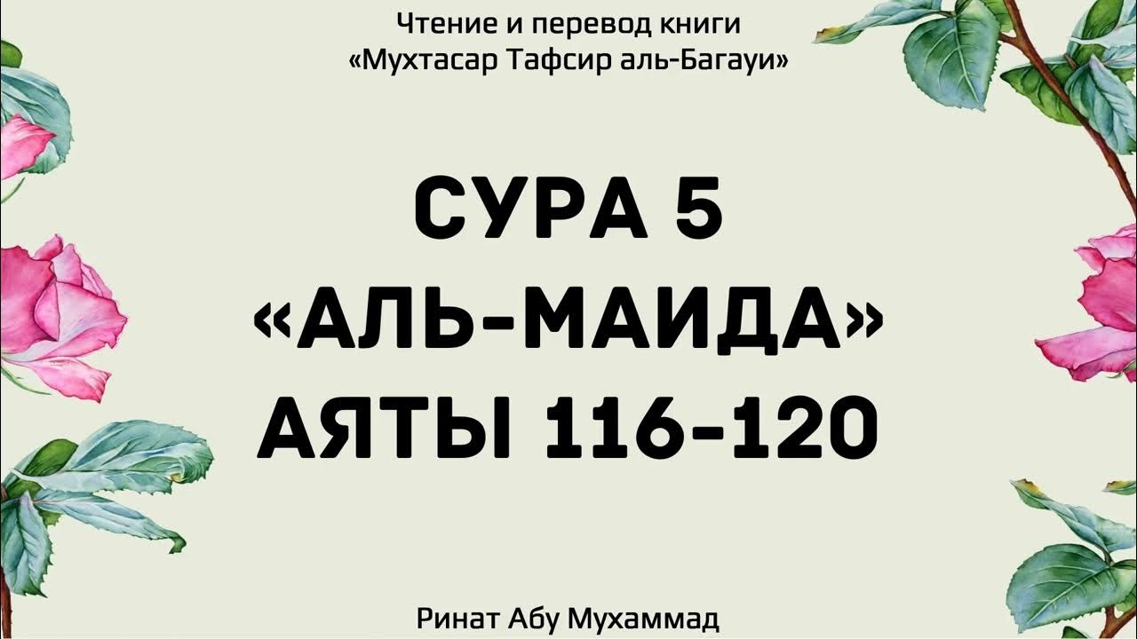 Сура ан ниса аят 54. Сура трапеза. Сура трапеза. Аят 116. Сура корова.