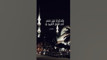 تلاوة طيبة للشيخ محمد أيوب #quran