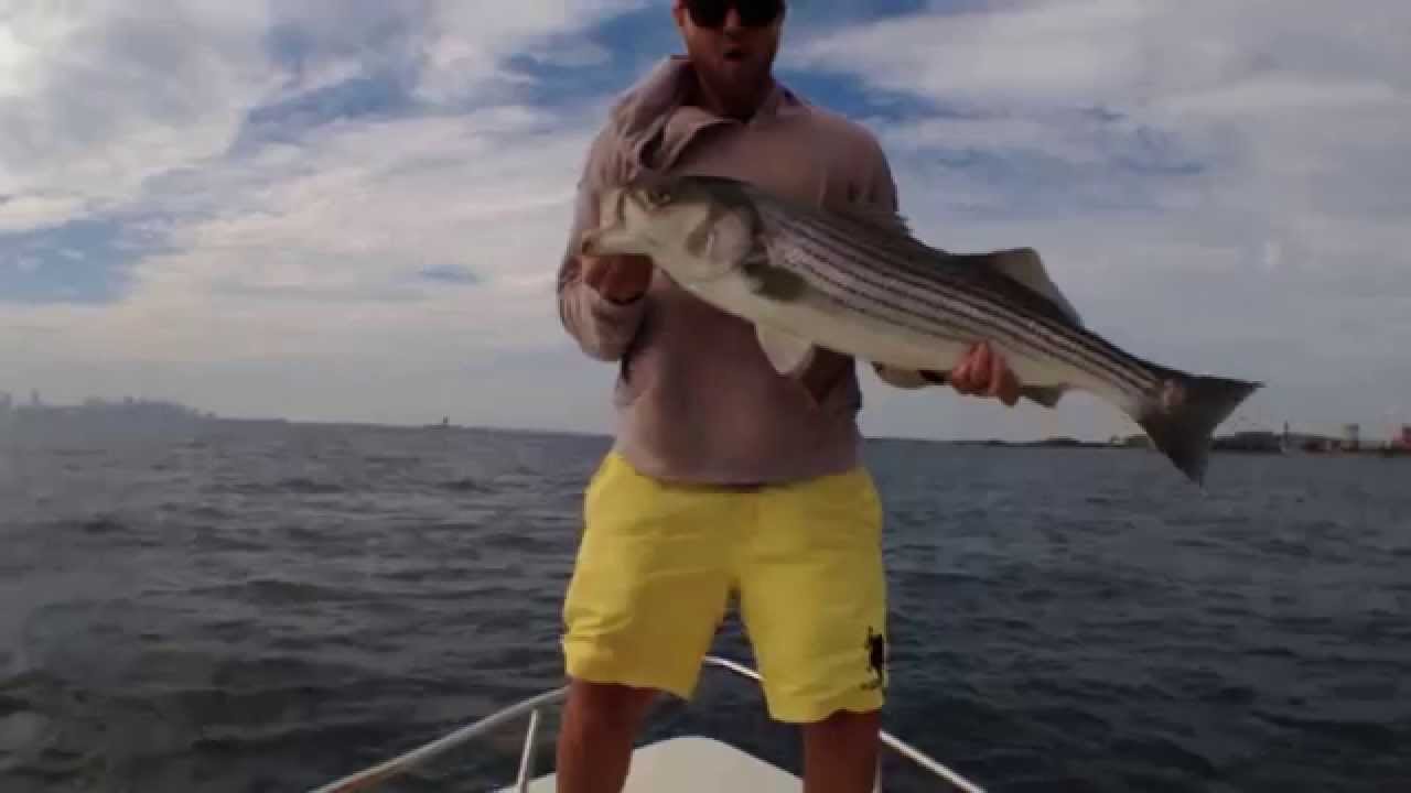 Striper Fishing Boston Harbor YouTube
