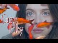 Carrie pilby 2017