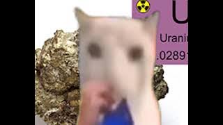 cat eats uranium for 12 seconds