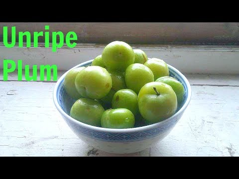 ভিডিও: Ussuri Plum: বিভিন্ন বিবরণ এবং পর্যালোচনা