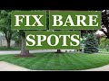 FIX BARE SPOTS for a THICK GREEN LAWN