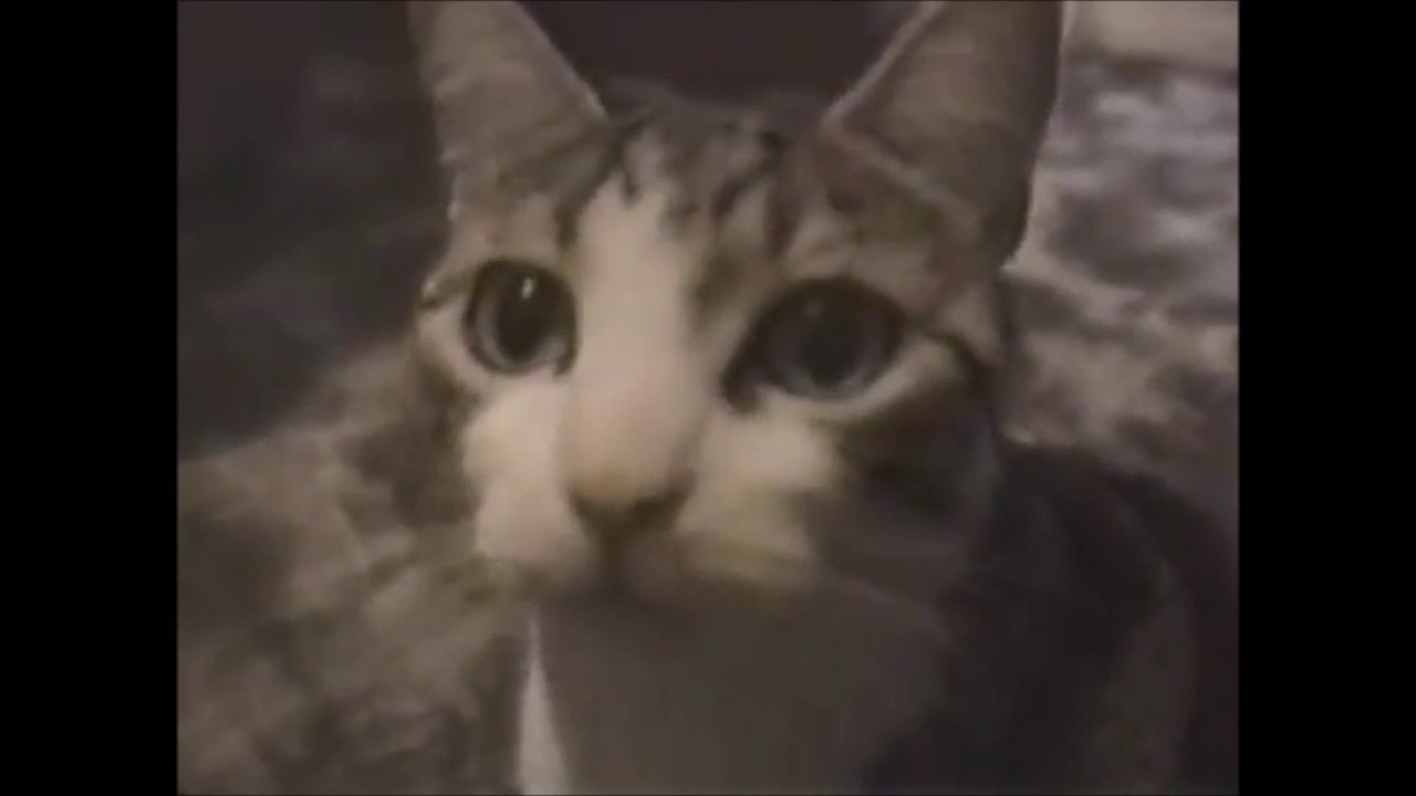 ROLAND JONES - REPRESENT FROM QUEENSBRIDGE