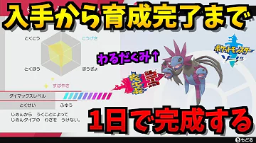 入手から 600族エース この動画を見れば育成済みサザンドラができます ポケモン剣盾 ポケモンソードシールド Mp3