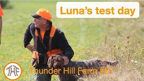 Thunder Hill Farm #27 - Luna