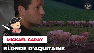 Mickaël Garay | Éleveur de blondes d'aquitaine
