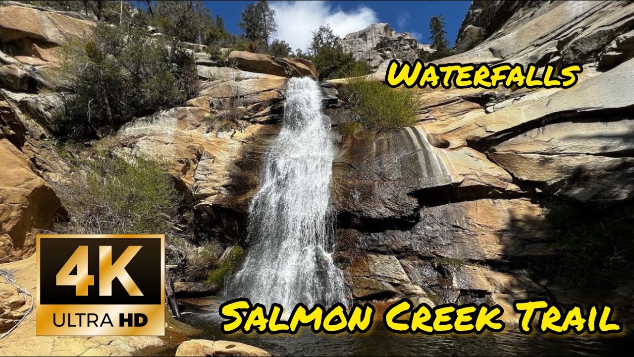 Experience the Breathtaking Majesty of Salmon Creek Trail in Sequoia National Forest