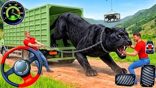 Animal Cargo Truck Transport 2026 - Game New Animal Cargo Truck Driving Simulator! Android Gameplay