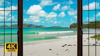 4K Tropical Beach window view in the Caribbean - Palm Trees, Ocean Sounds, White Noise