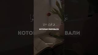 Сура Ан-Нахль Аят 16 #коран #рекомендации #глобальныерекомендации #чтецыкорана