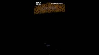 Rosalía Falando Português Muito Fofa Lollapalooza No Multishow